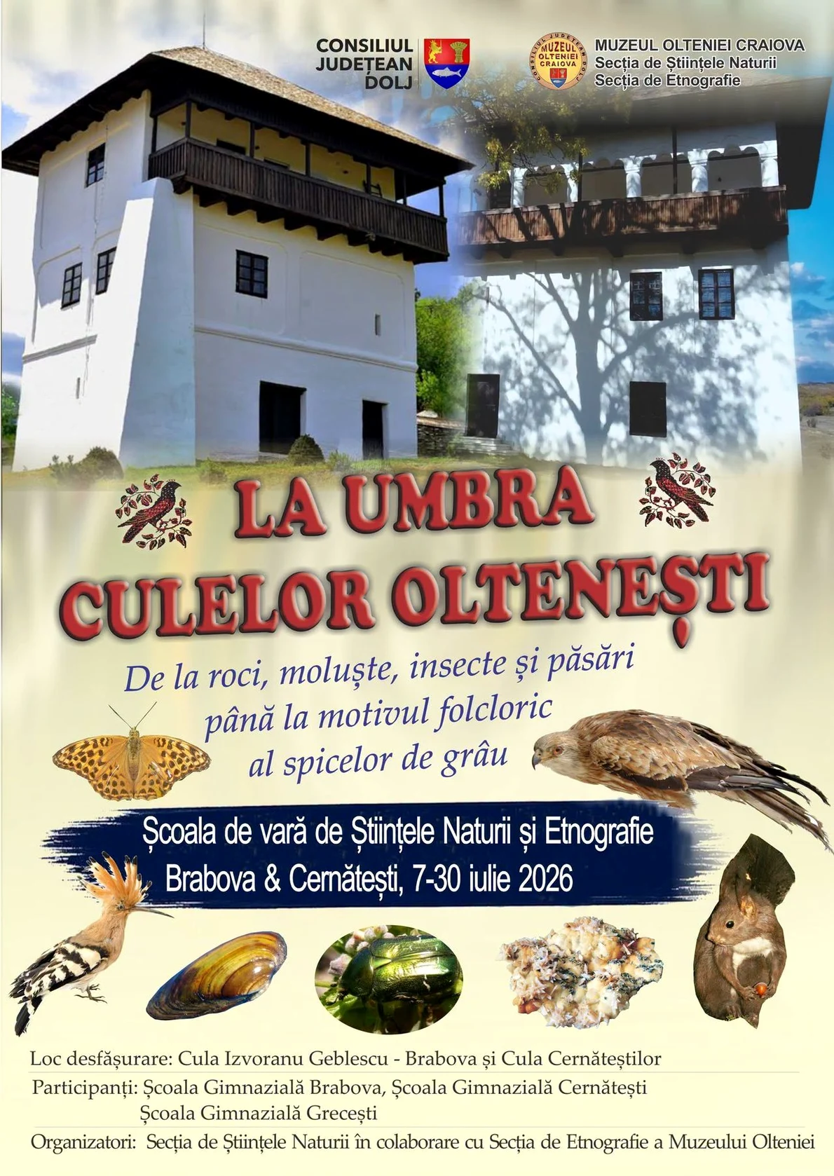 Școala de vară „La umbra culelor oltenești”, un proiect dedicat educației și creativității copiilor din comunitățile rurale