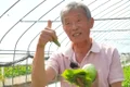 lee song su legume asiatice captura video jpg