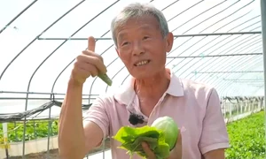 lee song su legume asiatice captura video jpg