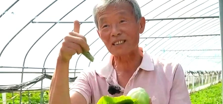 lee song su legume asiatice captura video jpg