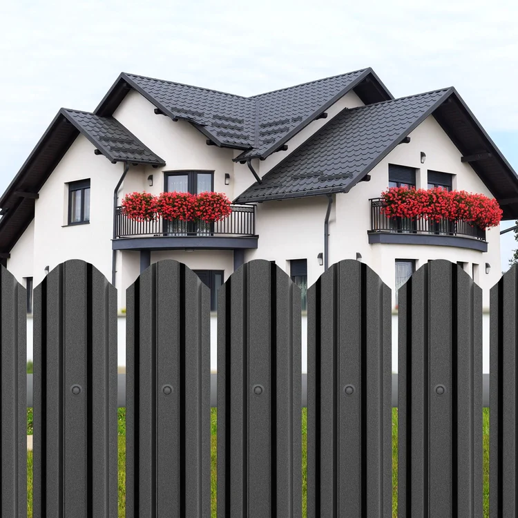 Picture1 png