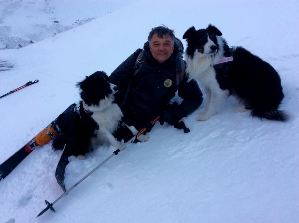 Povestea proiectului devenit Legea Câinilor Salvamont: „ O unitate canină de avalanşă verifică o suprafaţă de 16 ori mai repede decât 10 salvamontişti.