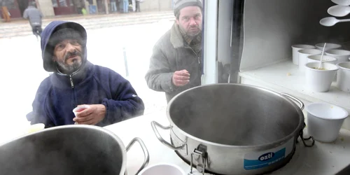 boschetari bucuresti