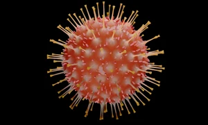 coronavirus jpeg