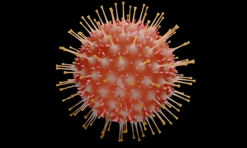 coronavirus jpeg