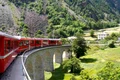 tren1 jpeg