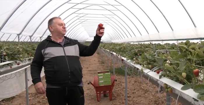 Un fost cioban din Bihor conduce o afacere de 35 milioane de euro / foto: captura video