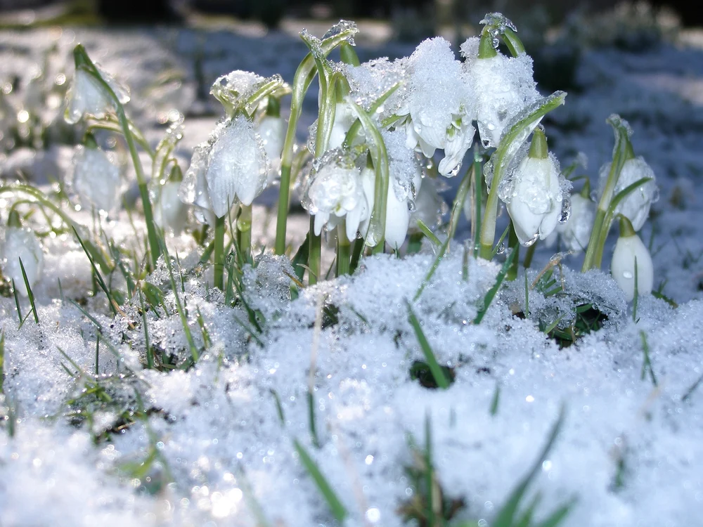 Urmează maxime de 18 grade Celsius Foto: Pixabay.com