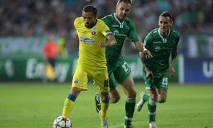 moti sanmartean jpeg