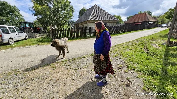 FOTO Diaspora suspină după satele românești: „Visez la căprițele și găinușele pe care o să le am”