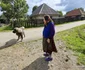 satul batrana din Hunedoara Foto Daniel Guță (31) JPG