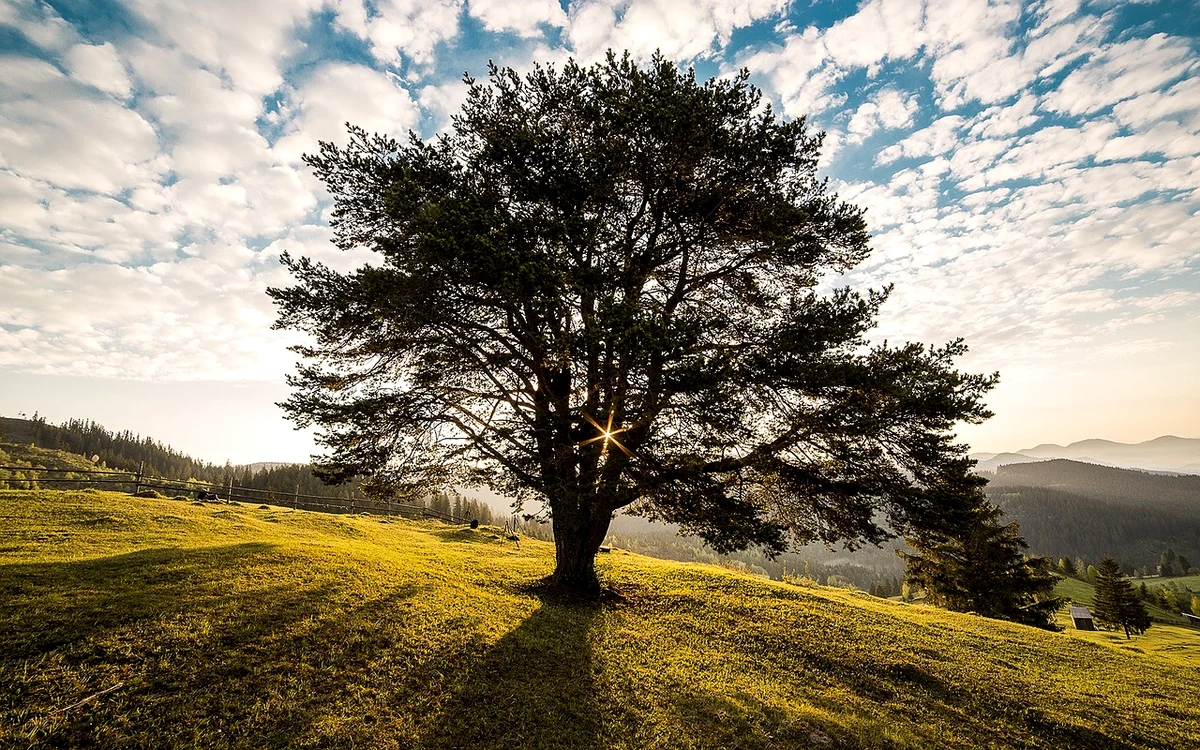 Vremea în iunie va fi caldă, dar nu caniculară / foto: Pixabay