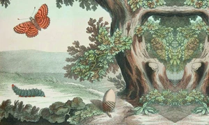 Viaţa la cutie jpeg