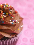 1 chocolate cupcakes with sprinkles 28389 jpg jpeg