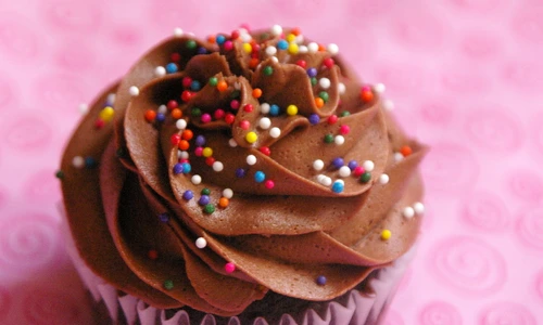 1 chocolate cupcakes with sprinkles 28389 jpg jpeg