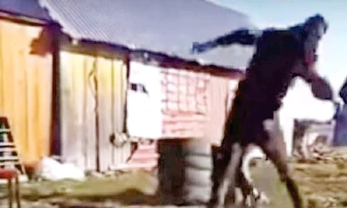 4 langa noi tanarul care si a batut cu biciul concubina minora a fost retinut pentru 24 de ore jpeg