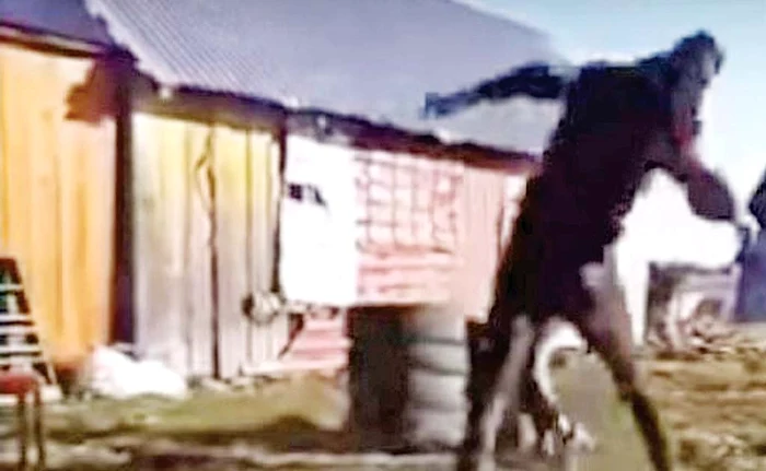 
    În ciuda violențelor la care a fost supusă, victima nu a depus plângere penală  