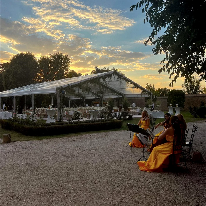 Ana Geoana logodna Garrett Cayton palatul Mogosoaia fiica lui Mircea Geoana (15) jpg