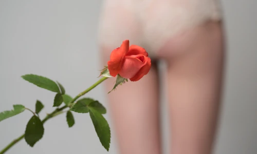 1 shutterstock 1341445928 jpg jpeg