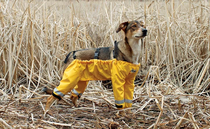 
    “Ştiu fetelor: mă prinde bine negrul!”Foto: Photoland / Wenn  