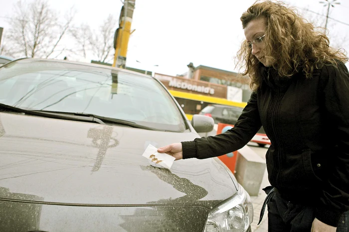  Fenomene similare  s-au mai abătut peste  ţara noastră, ultima dată  în luna aprilie a anului trecut