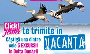 5 concurs cpf te trimite in vacanta jpg jpeg