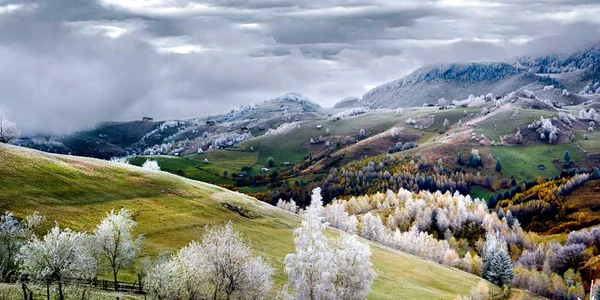taram de basm eduard gutescu