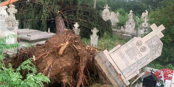 cimitir stanesti