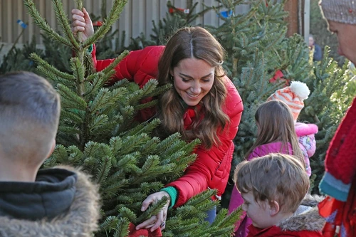 6 kate middleton brazi de craciun 5 jpg jpeg