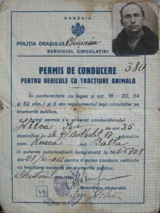 permis de conducere