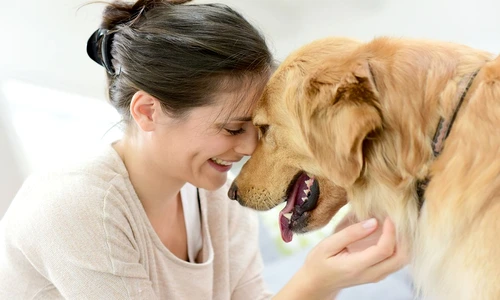 1 77444 original jpg jpeg