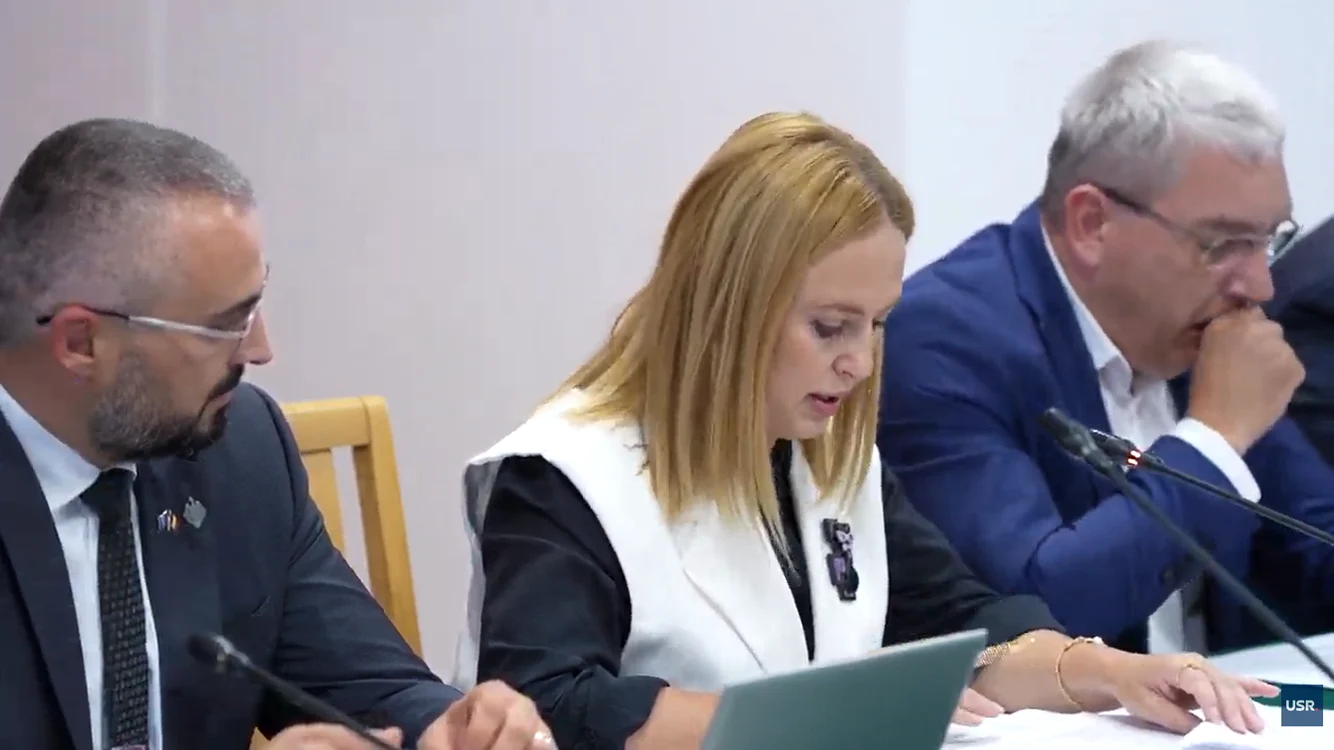 Președinta Comisiei de Constituționalitate, Cosmina Cerva.