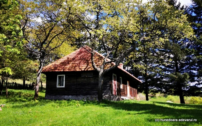 fosta scoala din ursici foto daniel guta adevarul