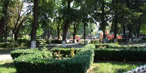 Bacău: Ziua Recoltei în Parcul Cancicov