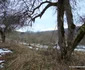 Satul Grohot și cătunul Străuți, Munții Apuseni, decembrie 2023 Foto Daniel Guță ADEVĂRUL (9) jpg