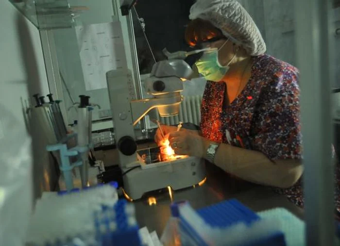 Ovulele erau recoltate în clinică de la paciente tinere care acceptau să le cedeze contra unor sume de bani