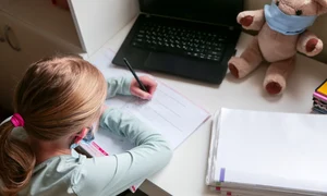 scoala online shutterstock 1686937258 jpeg