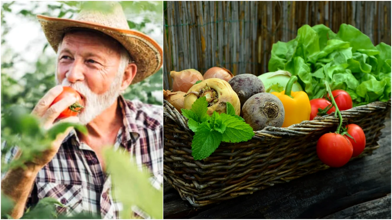Ce legume se plantează în iulie și august în grădină
