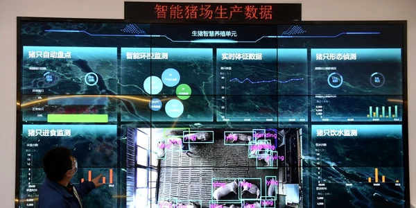 Centrul naţional de date privind porcii îi ajută pe crescătorii de porci să crească porci cu tehnologii AI în Chongqing China FOTO Profimedia