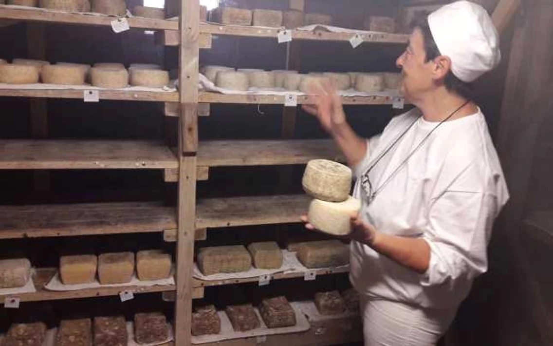 Atelierul în care se face brânza artizanală de Sârbova FOTO Ş.Both