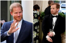 FotoJet Harry și dublura de la Met Gala jpg