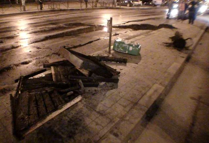 
    Arbuştii ornamentali au fost scoşi din jardiniere  