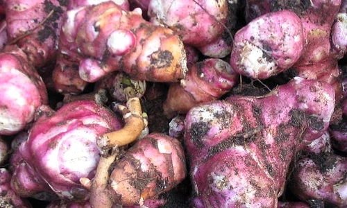 1 67219 original jpg jpeg