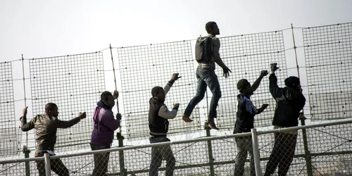 Emigranţi africani urca un gard de frontieră acoperit cu sârmă ghimpată în timpul unei încercari de a trece in enclava spaniola Melilla aflata pe coasta  Africii de Nord FOTO Reuters