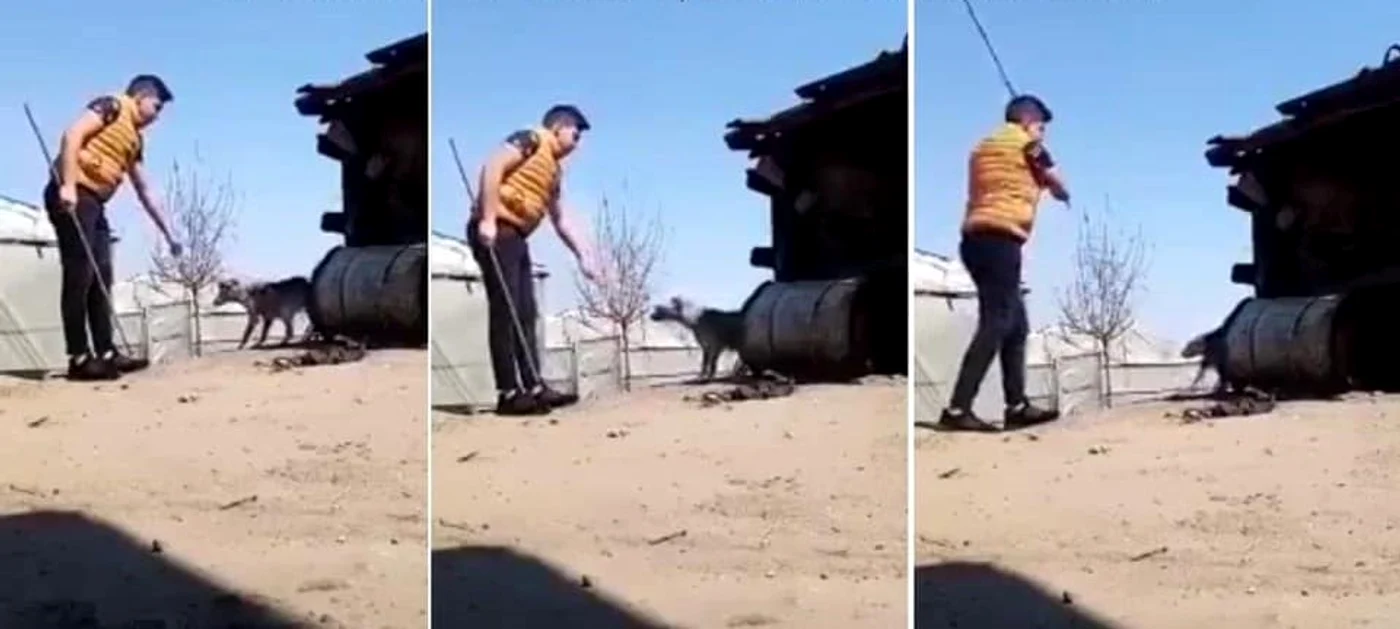 Imaginile sunt greu de privitFoto: captură video