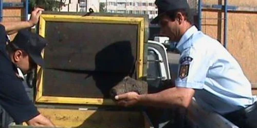 Reşiţa: Bombă după bombă în municipiu