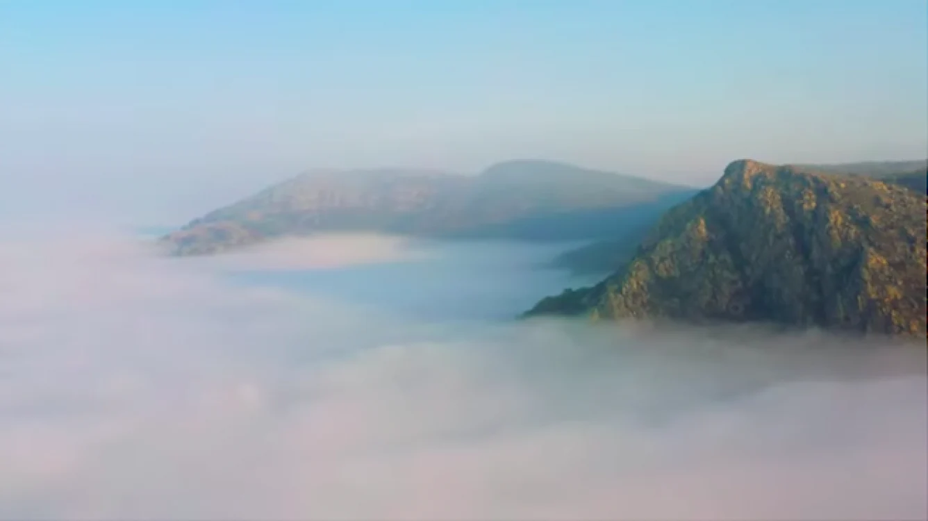 Dobrogea peisaje natură sălbatică - Sursa Youtube Mircea Bezergheanu