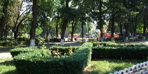 Bacău: Prins la furat de înghețată