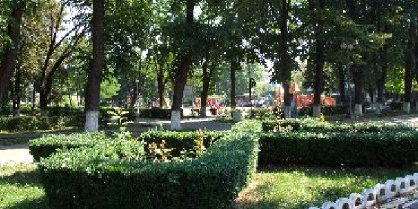 Bacău: Prins la furat de înghețată