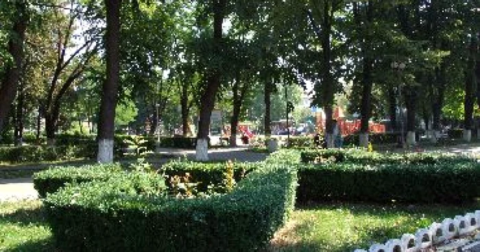 Bacău: Prins la furat de înghețată